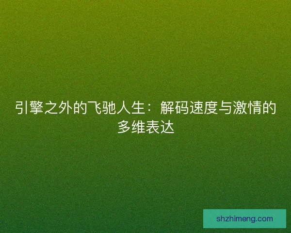 引擎之外的飞驰人生：解码速度与激情的多维表达