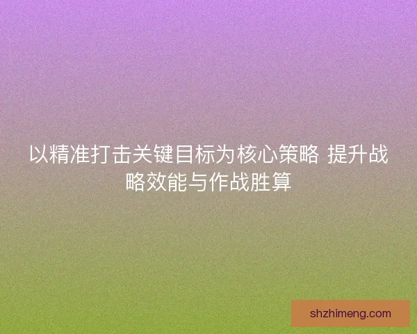 以精准打击关键目标为核心策略 提升战略效能与作战胜算