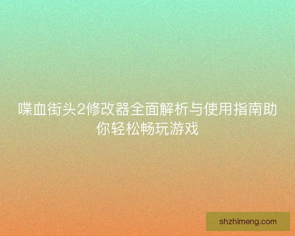 喋血街头2修改器全面解析与使用指南助你轻松畅玩游戏