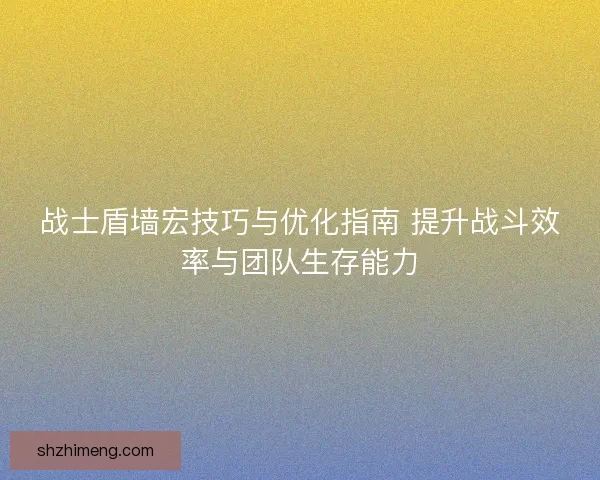 战士盾墙宏技巧与优化指南 提升战斗效率与团队生存能力