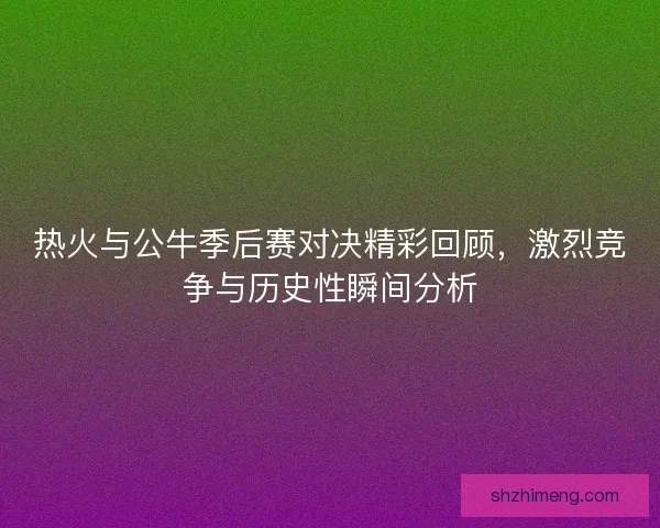 热火与公牛季后赛对决精彩回顾，激烈竞争与历史性瞬间分析