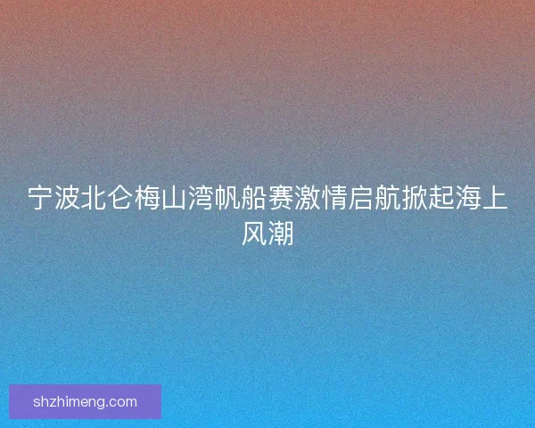 宁波北仑梅山湾帆船赛激情启航掀起海上风潮