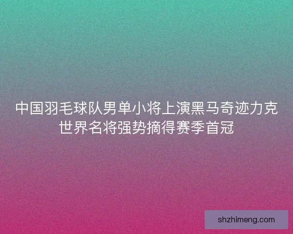 中国羽毛球队男单小将上演黑马奇迹力克世界名将强势摘得赛季首冠